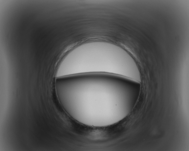 X0000086030111200703231003