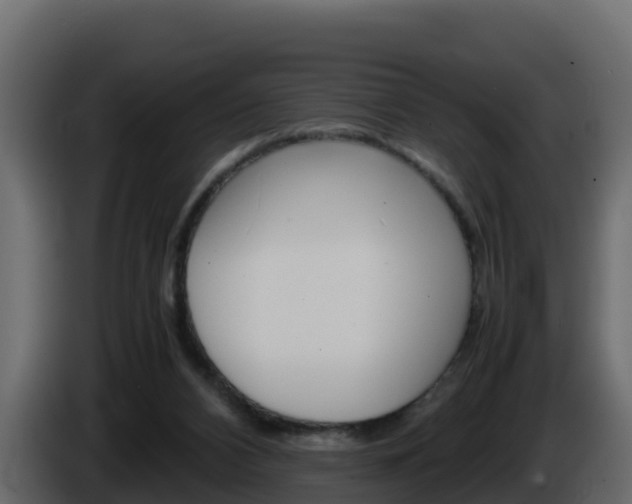 X0000086030112200703231003
