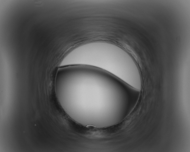 X0000086030113200703231003