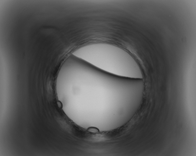 X0000086030114200703231003