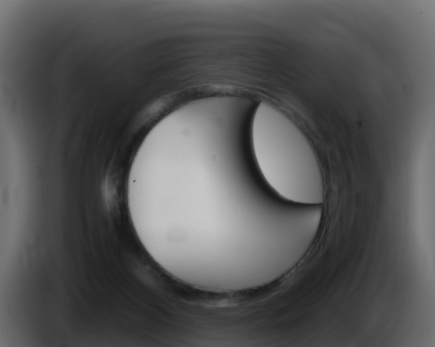 X0000086030116200703231003