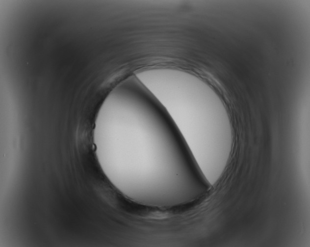 X0000086030119200703231003