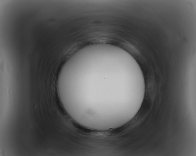 X0000086030122200703231003