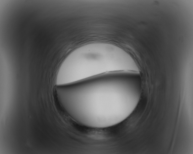 X0000086030123200703231003