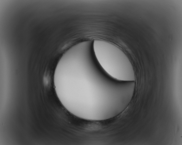 X0000086030124200703231003