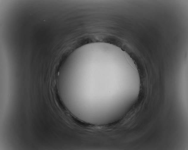 X0000086030129200703231003