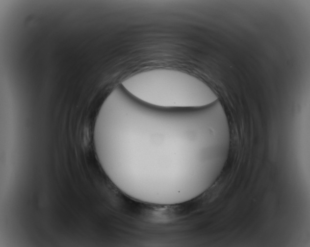 X0000086030130200703231003