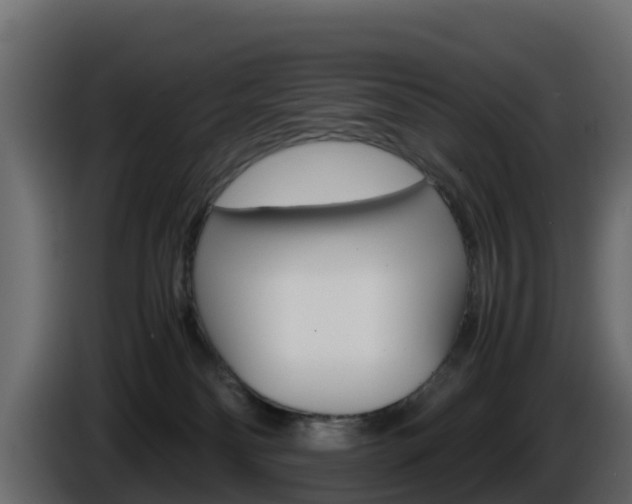 X0000086030134200703231003
