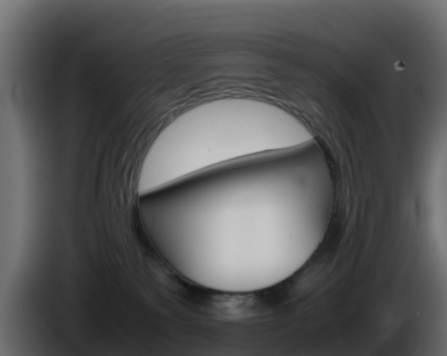 X0000086030135200703231003
