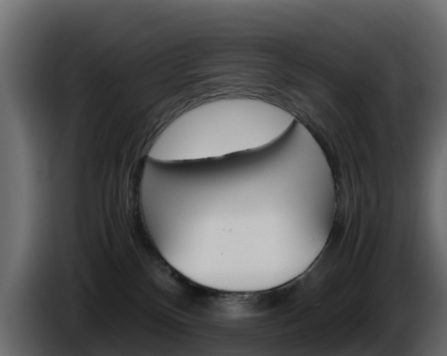 X0000086030136200703231003