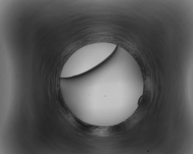 X0000086030138200703231003