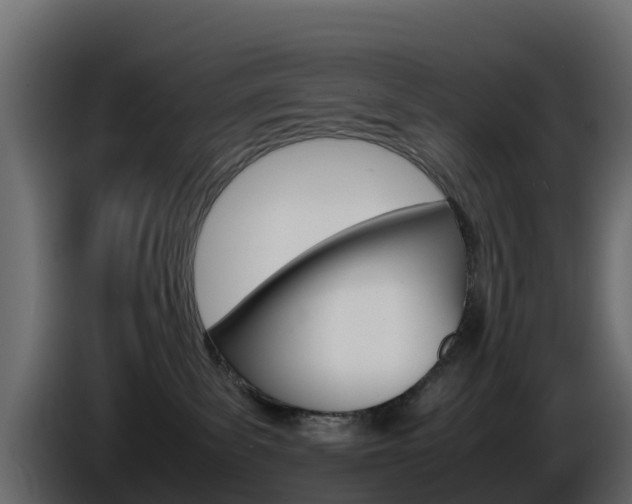 X0000086030139200703231003