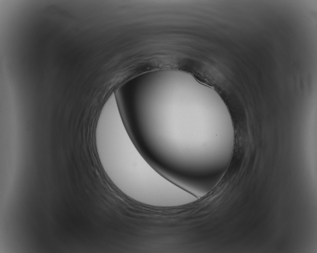 X0000086030141200703231003