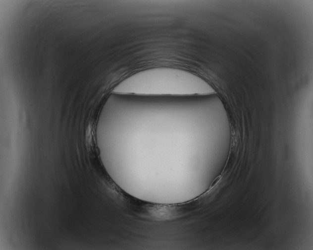 X0000086030142200703231003