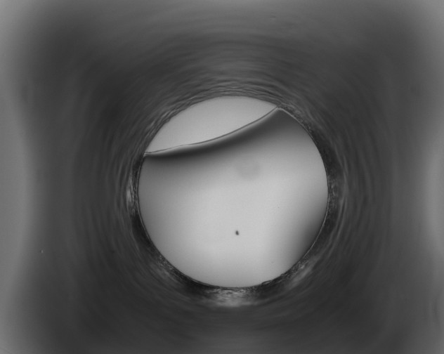 X0000086030143200703231003