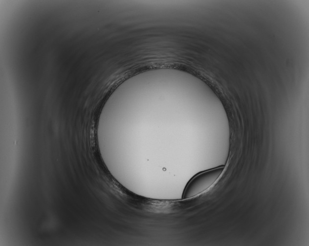 X0000086030144200703231003