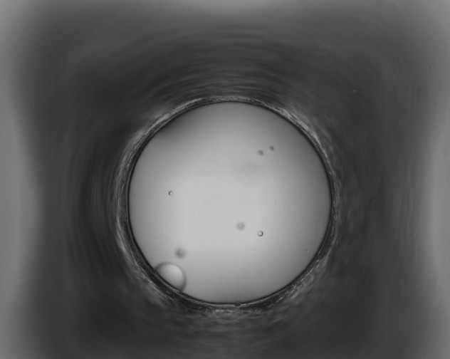 X0000086030145200703231002