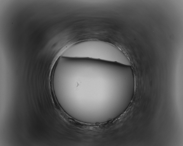 X0000086030147200703231002