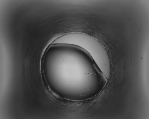 X0000086030148200703231002