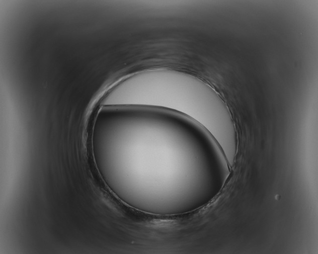 X0000086030150200703231002