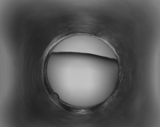 X0000086030151200703231002