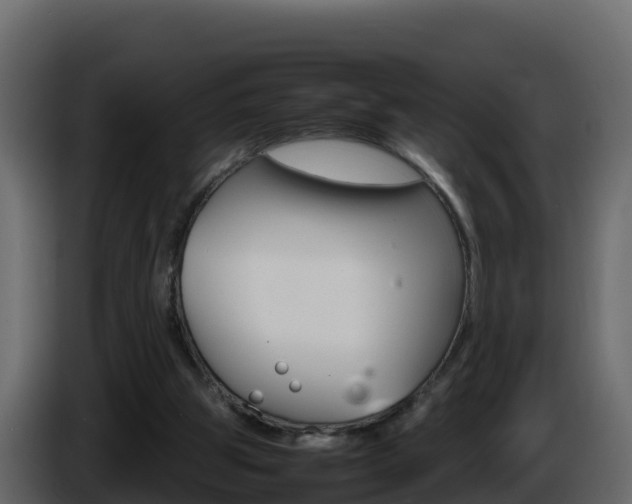 X0000086030153200703231002