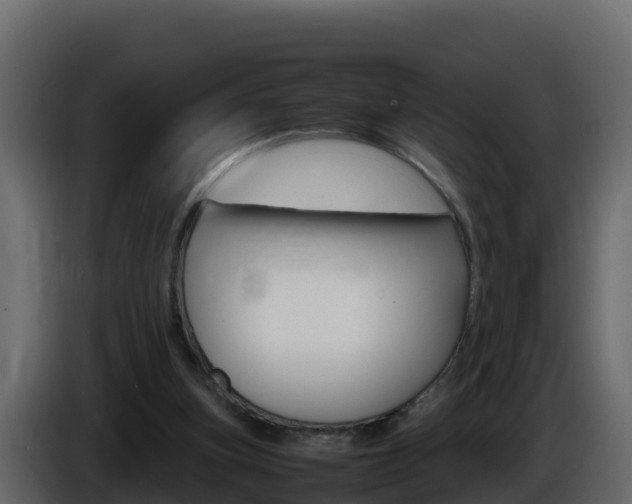 X0000086030155200703231002