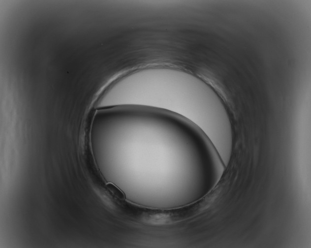 X0000086030156200703231002