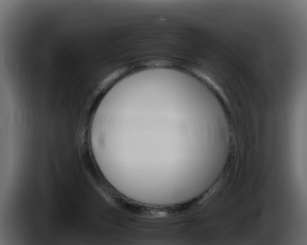 X0000086030159200703231002
