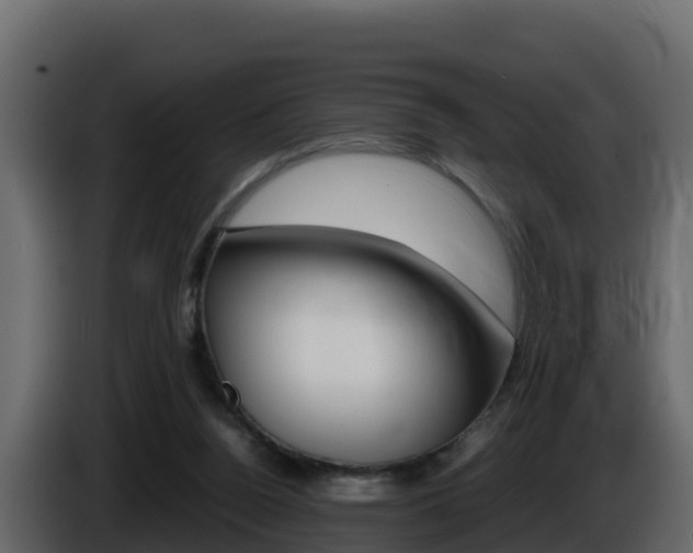 X0000086030160200703231002