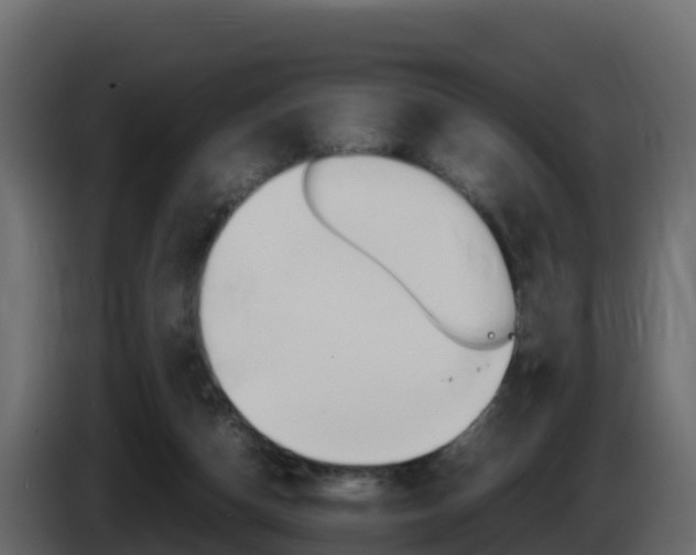 X0000086030162200703231002