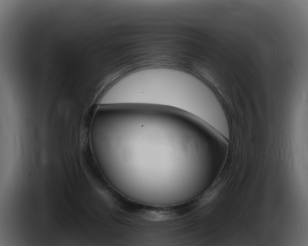 X0000086030164200703231002