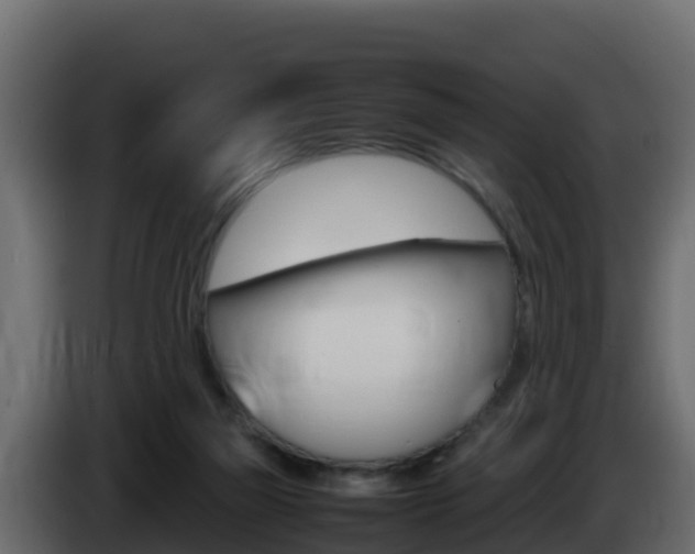 X0000086030165200703231002