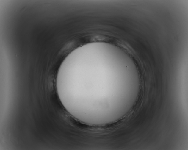 X0000086030169200703231002