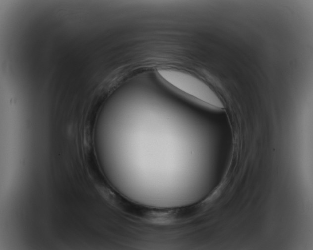 X0000086030170200703231002