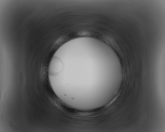 X0000086030171200703231002