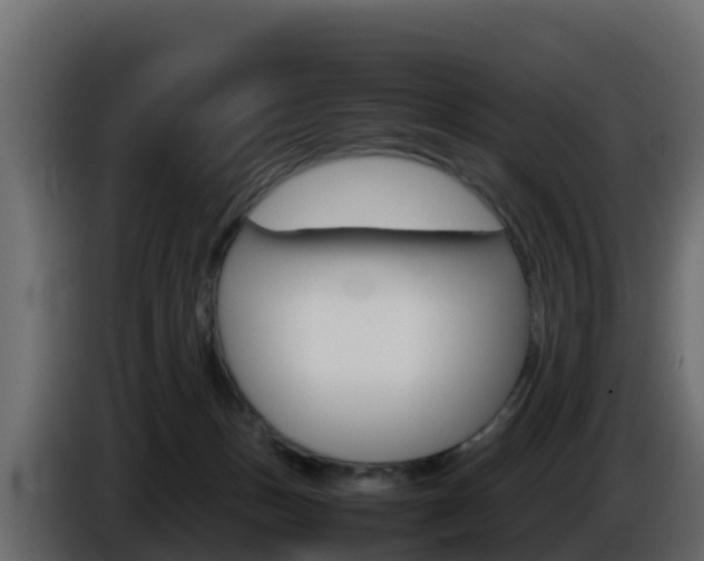 X0000086030175200703231002