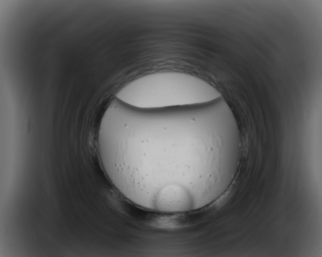 X0000086030178200703231002