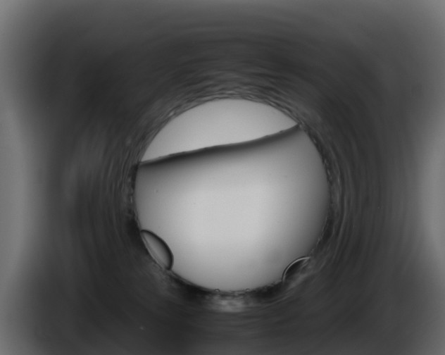 X0000086030181200703231003