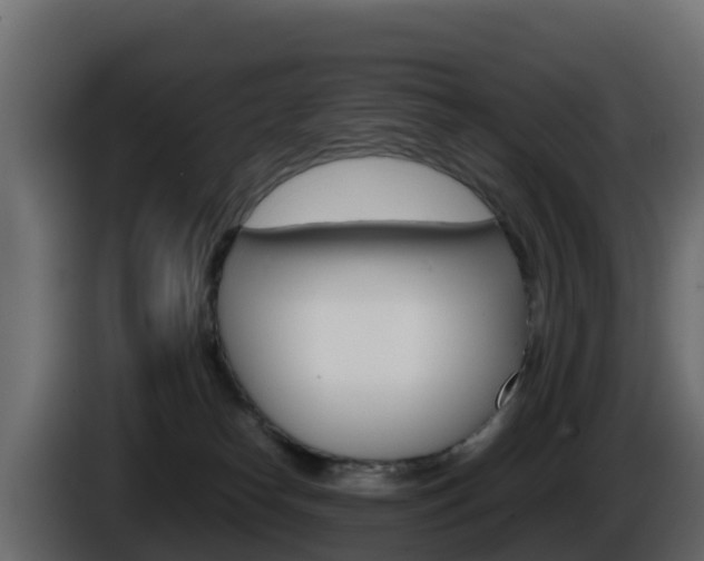 X0000086030182200703231003