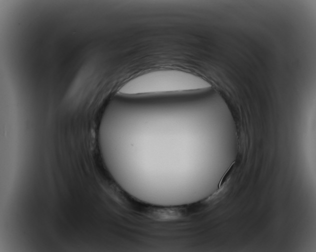 X0000086030183200703231003