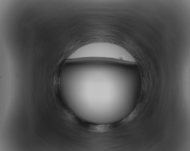 X0000086030184200703231003