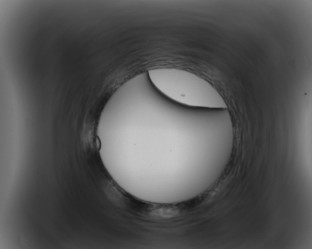 X0000086030185200703231003