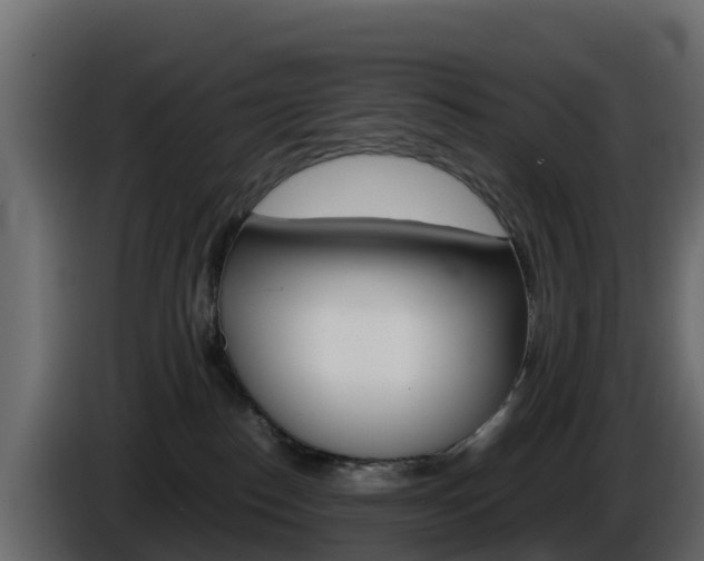 X0000086030186200703231003