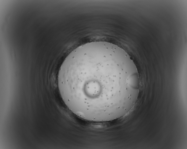 X0000086030187200703231003