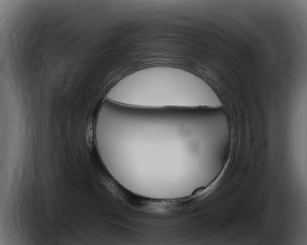 X0000086030190200703231003
