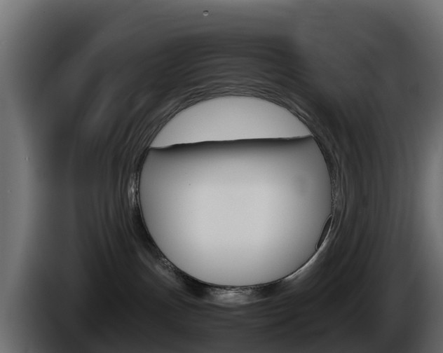 X0000086030191200703231003