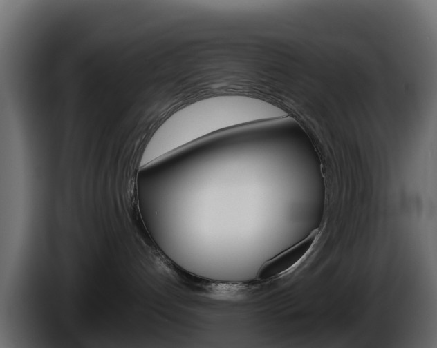 X0000086030192200703231003