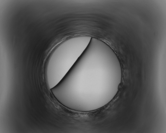 X0000086030194200703231002