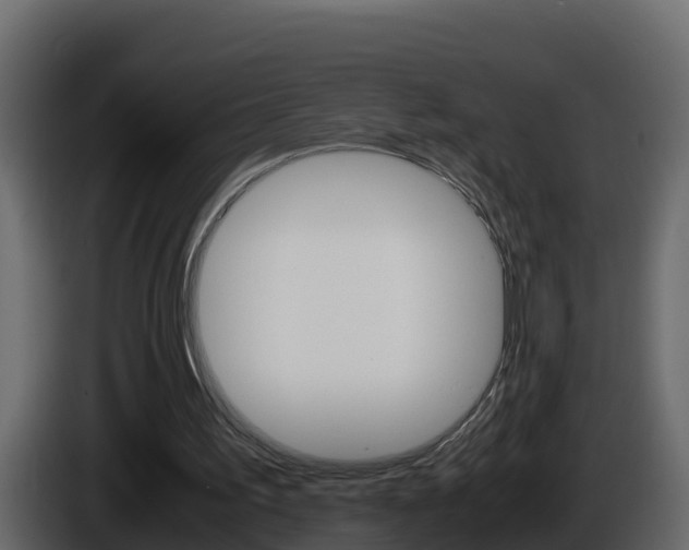 X0000086030195200703231002